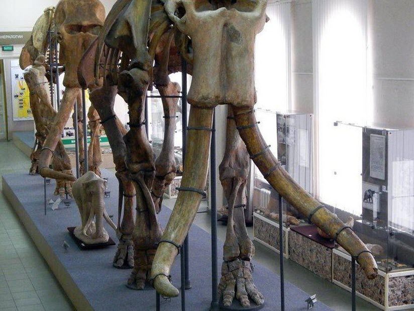 музей-заповедник