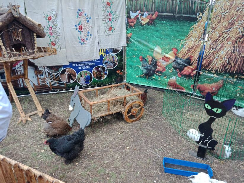 Ульяновский зоопарк «Русские забавы»