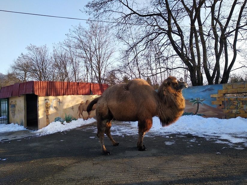 Владикавказский зоопарк