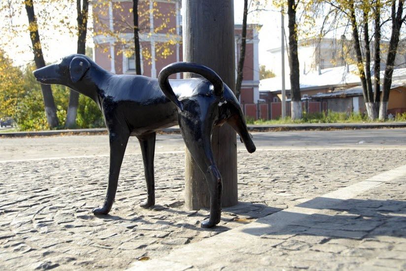 «Писающая собачка»