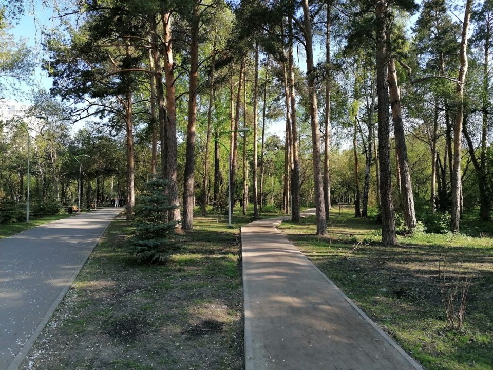 Парк «Зеленая роща»