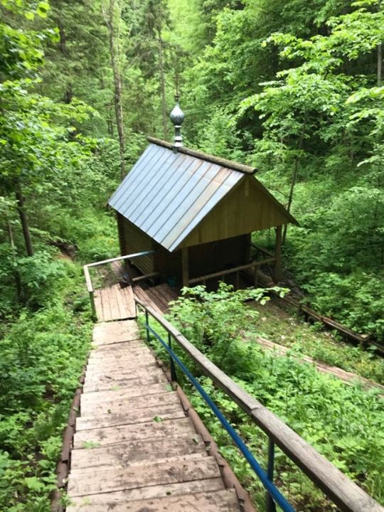 Источник д. Корта