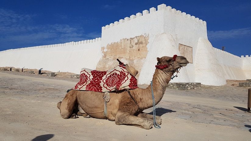 Руины Agadir Oufella