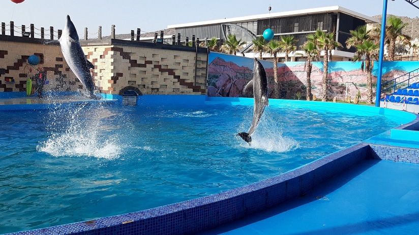 Agadir Dolphin World
