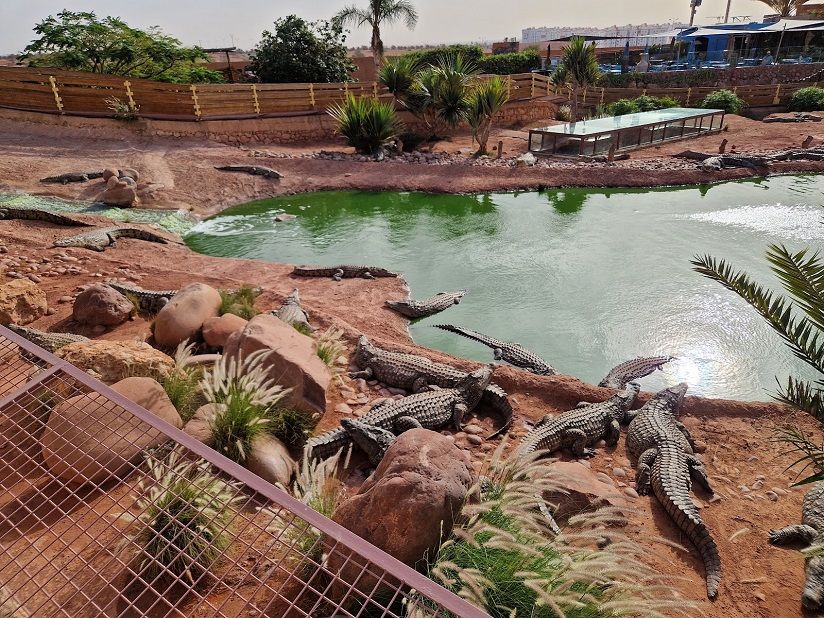Зоологический сад Crocoparc
