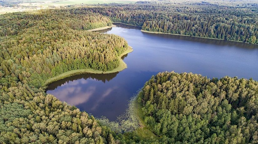 Озеро Боровно