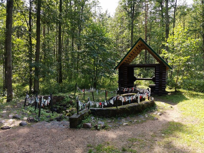 Родник Окменица