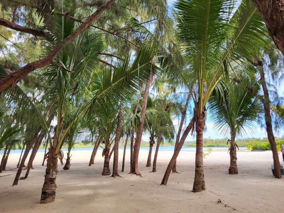 Остров Серф (Ile aux Cerfs)