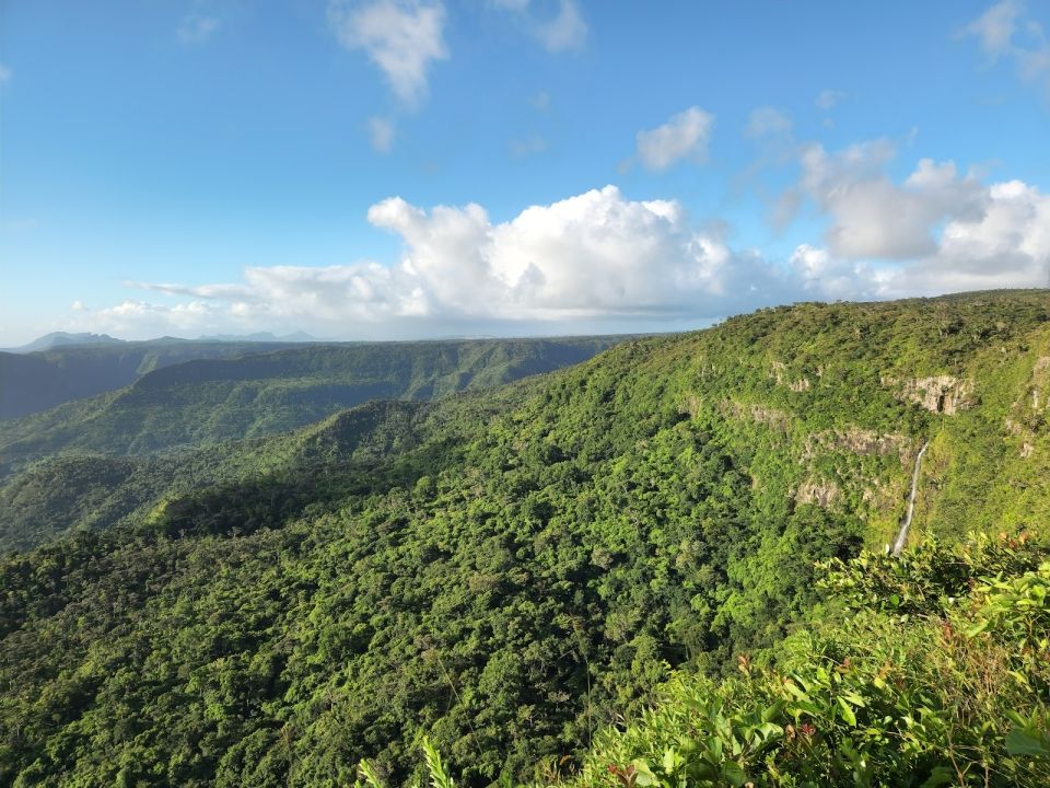 Black River Gorges National Park