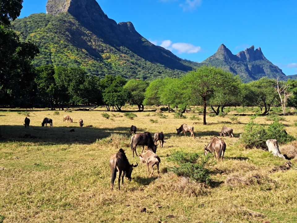 Casela Nature Parks