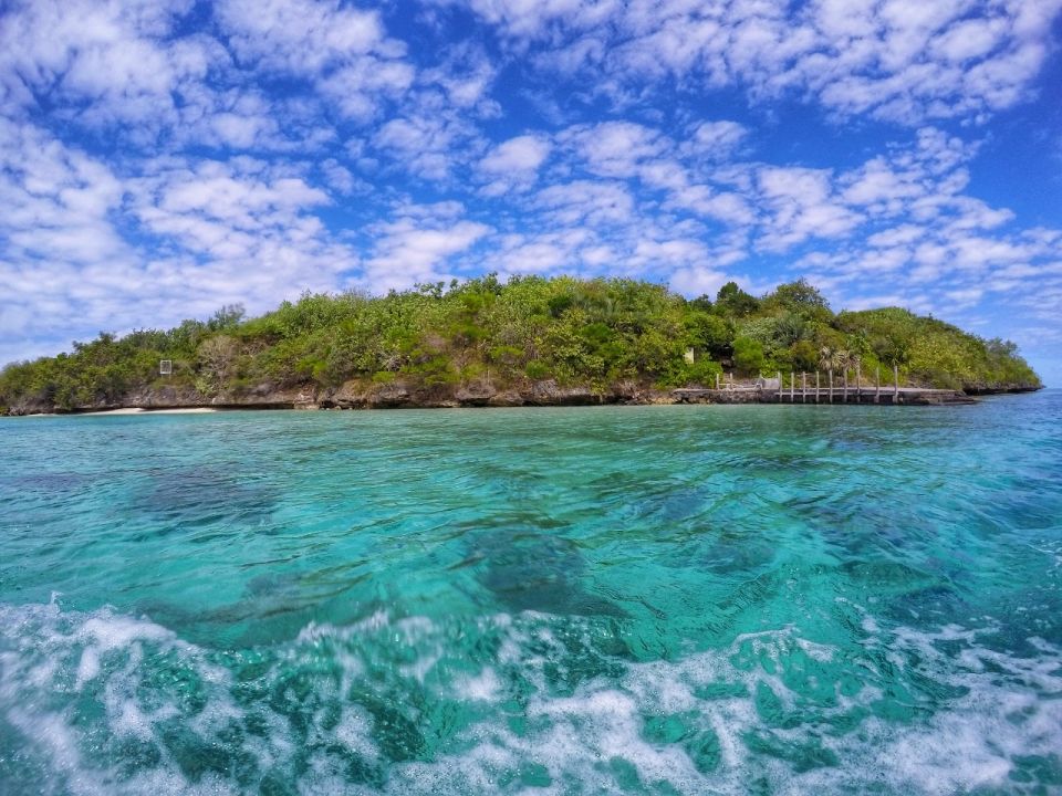 Остров Эгрет (Ile aux Aigrettes)