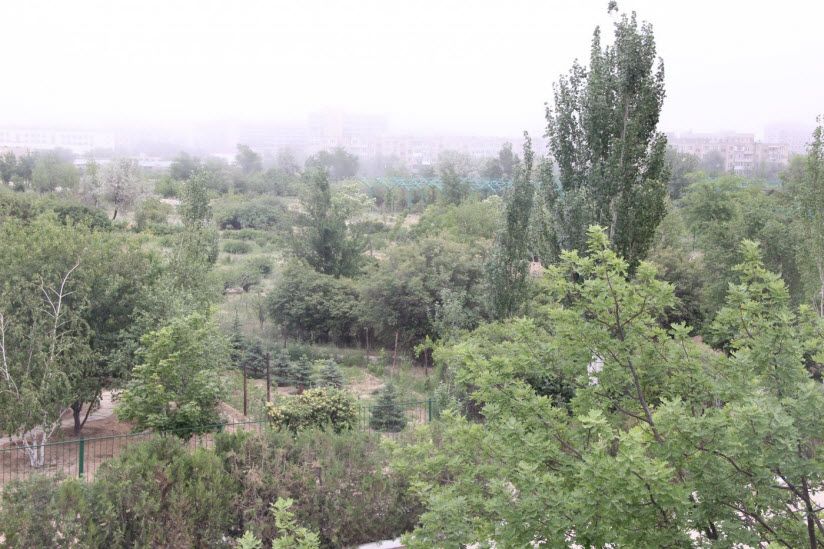 Ботанический сад