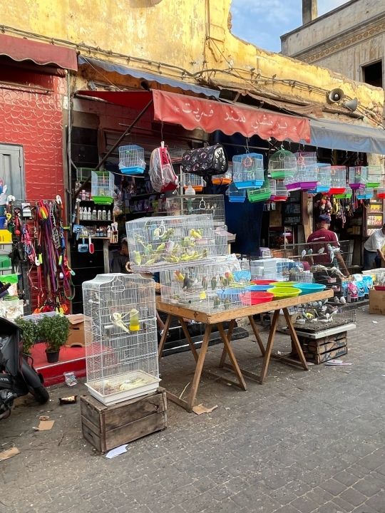Old Medina Market
