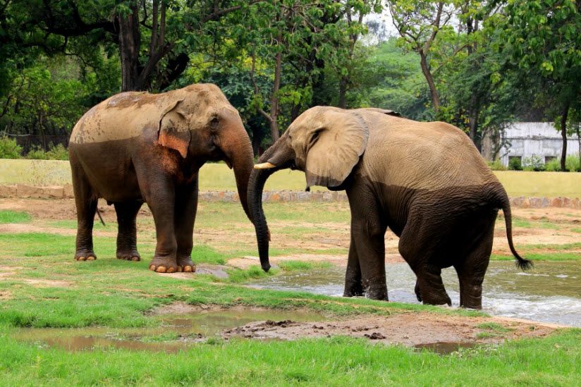 National Zoological Park