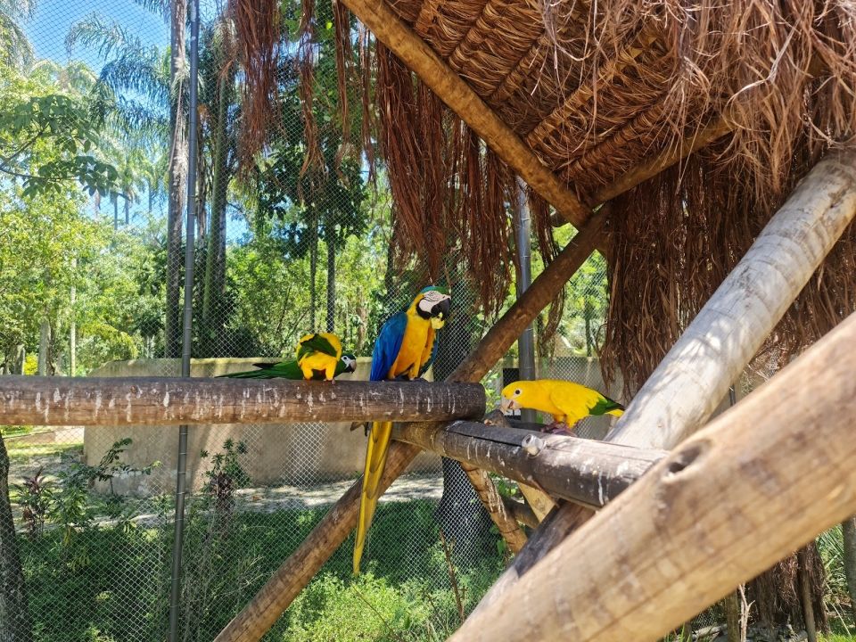 Зоопарк BioPark of Rio