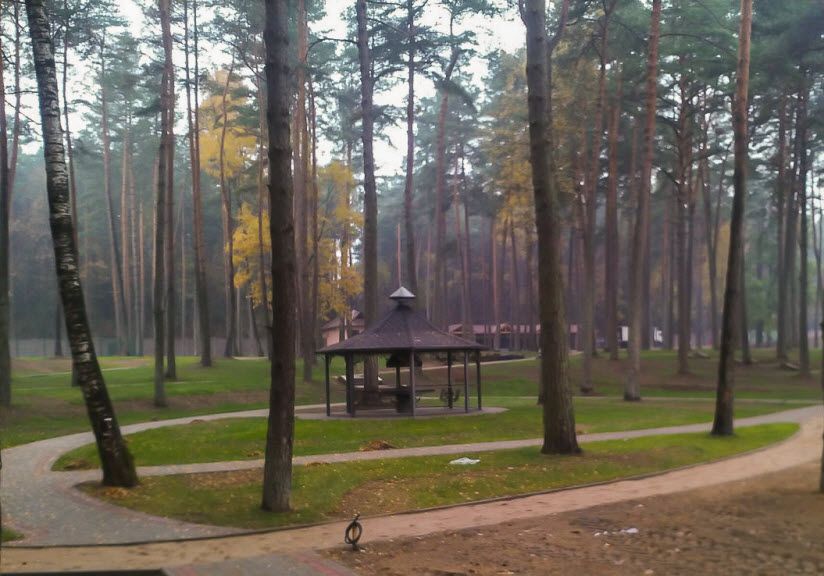 Лесопарк Пышки