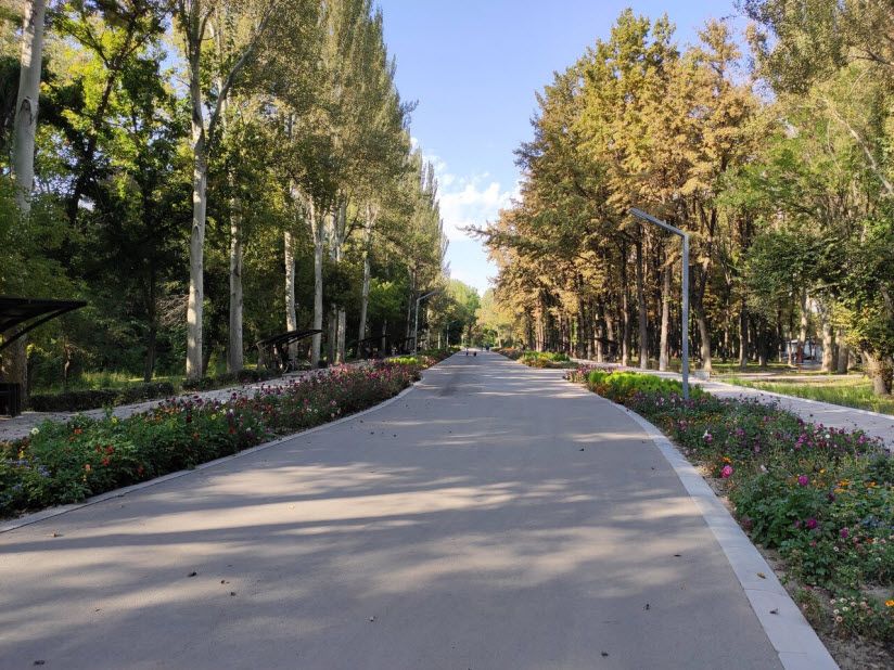 Карагачевая роща