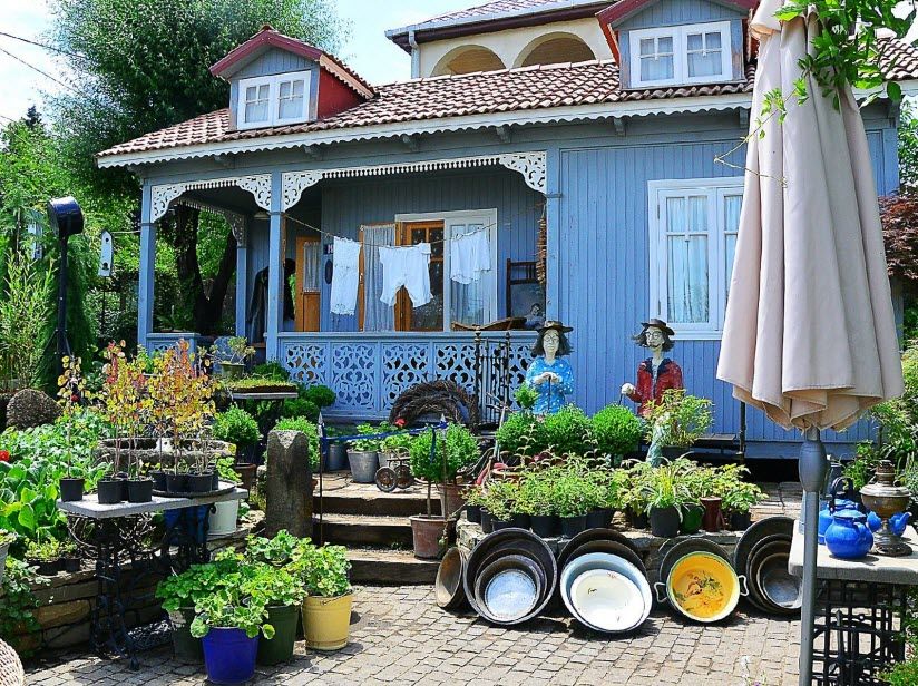 Гардения Шеварднадзе