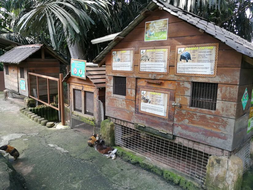 KL Tower Mini Zoo