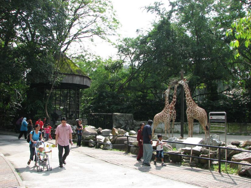 National Zoo of Malaysia