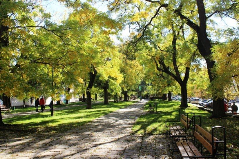 Морсад