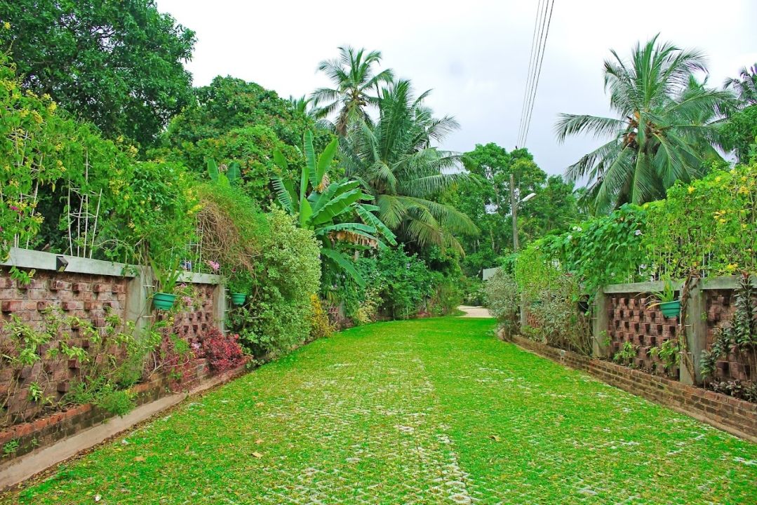 Ceylon Kingsmen Garden