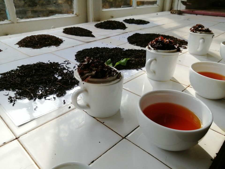 Kinellan Tea Factory