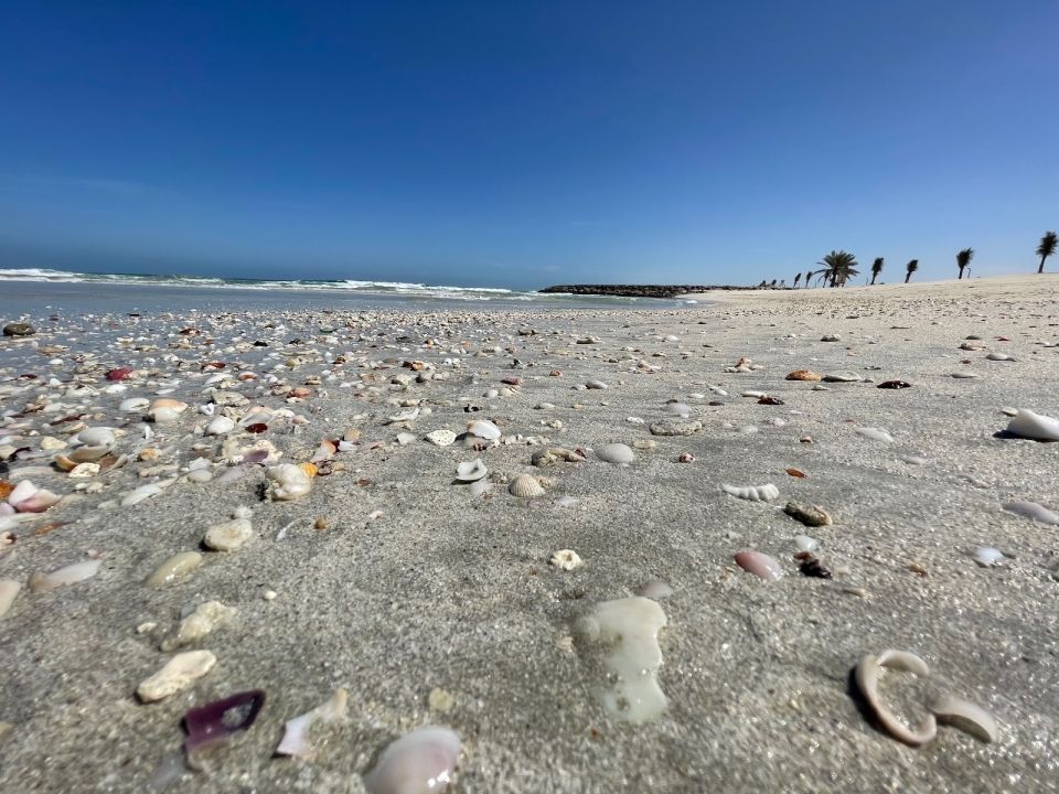 Al Hamriyah Public Beach