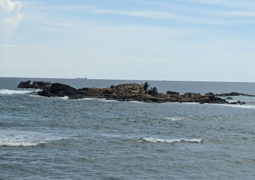Palm Island