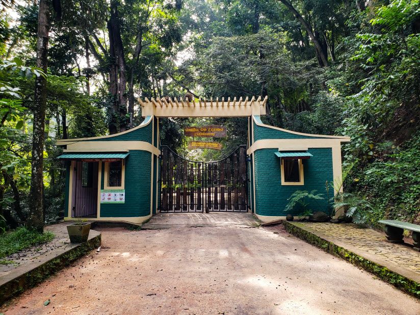 Лесной заповедник Udawatta Kele Sanctuary