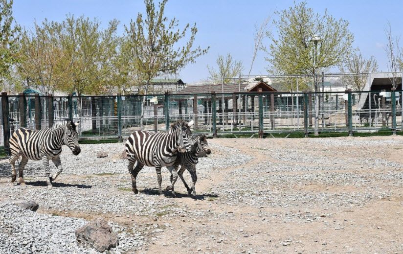 Kayseri Zoo