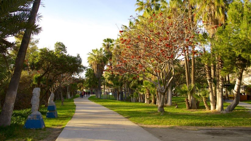 Парк Хосе Мария Морелос (Parque Morelos)