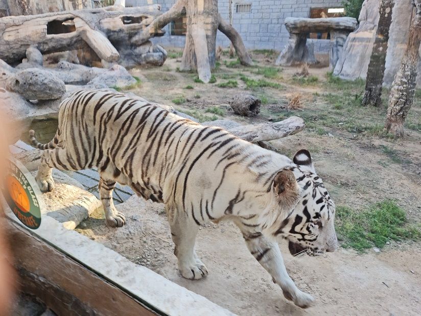 Emirates Park Zoo