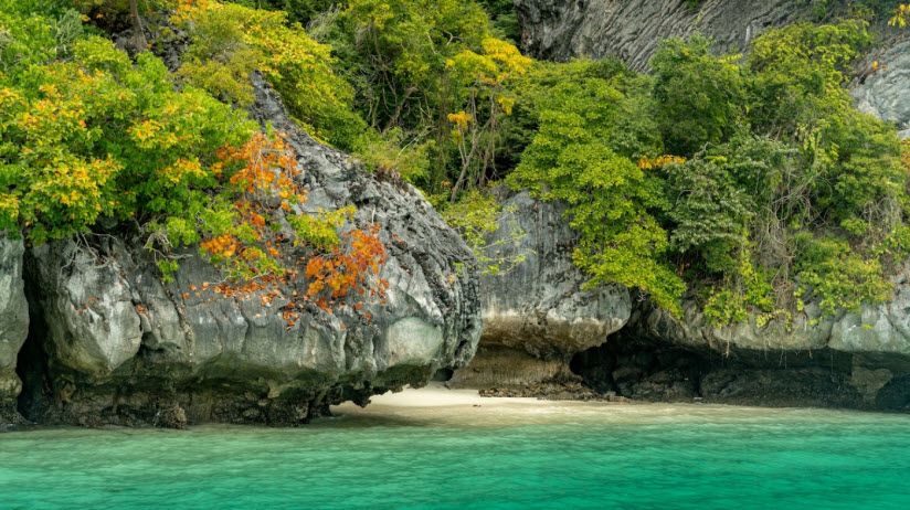 Monkey Beach