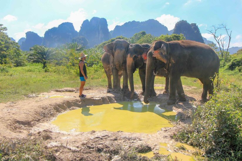 Krabi Elephant Sanctuary