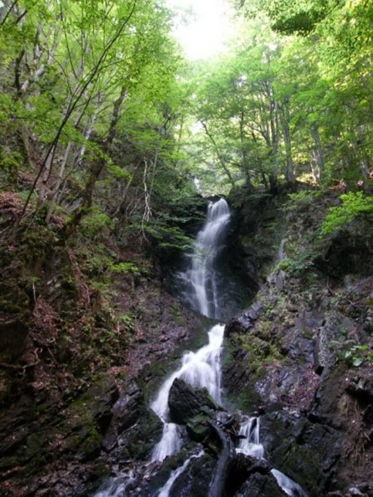 Водопад Еловарник