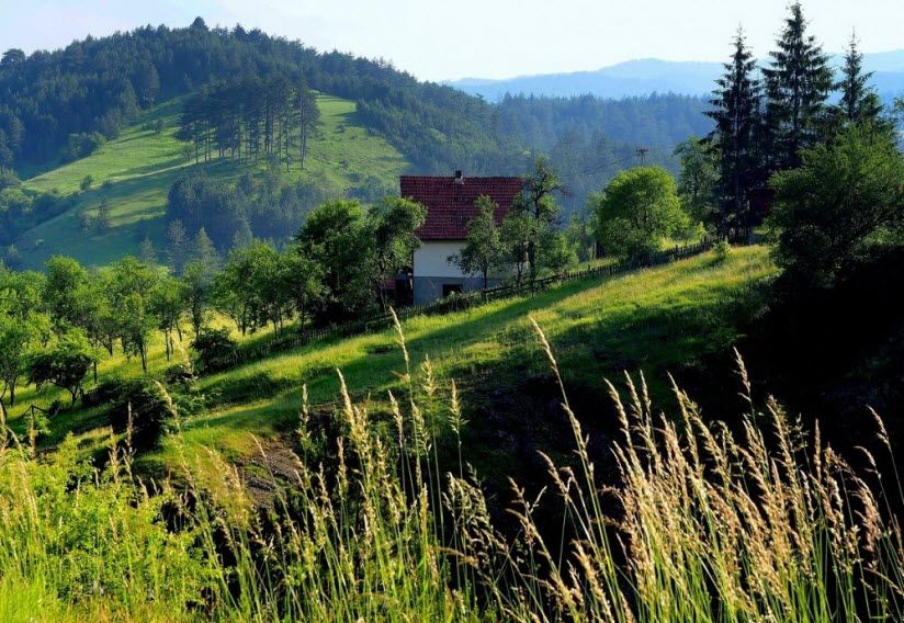 Гора Златибор