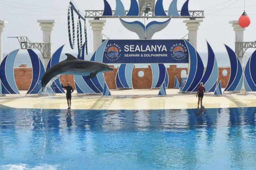 Дельфинарий Sealanya Dolphinpark