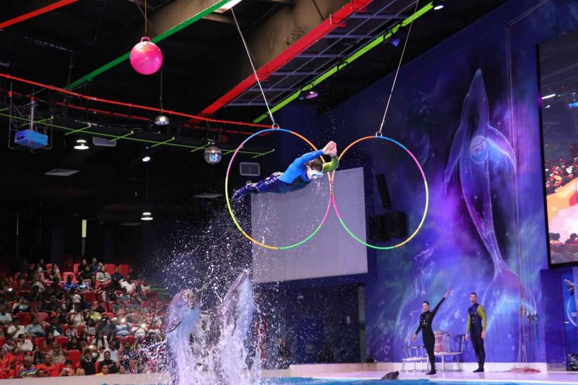Dubai Dolphinarium