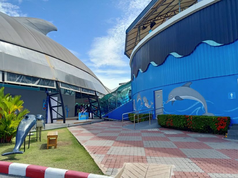 Дельфинарий (Pattaya Dolphinarium)