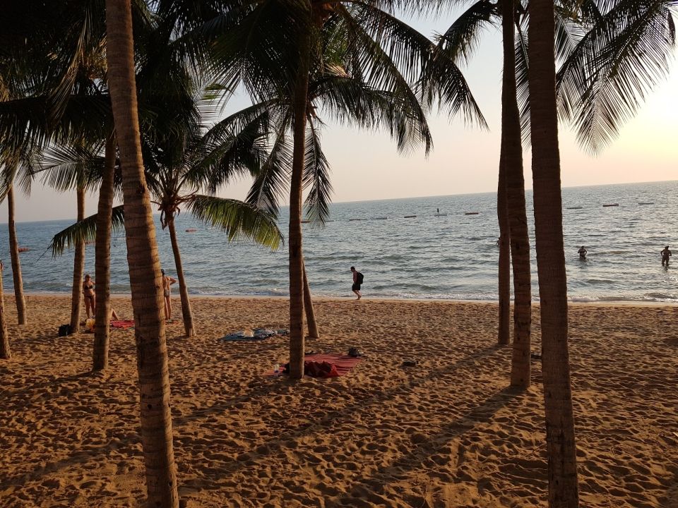Dongtan Beach