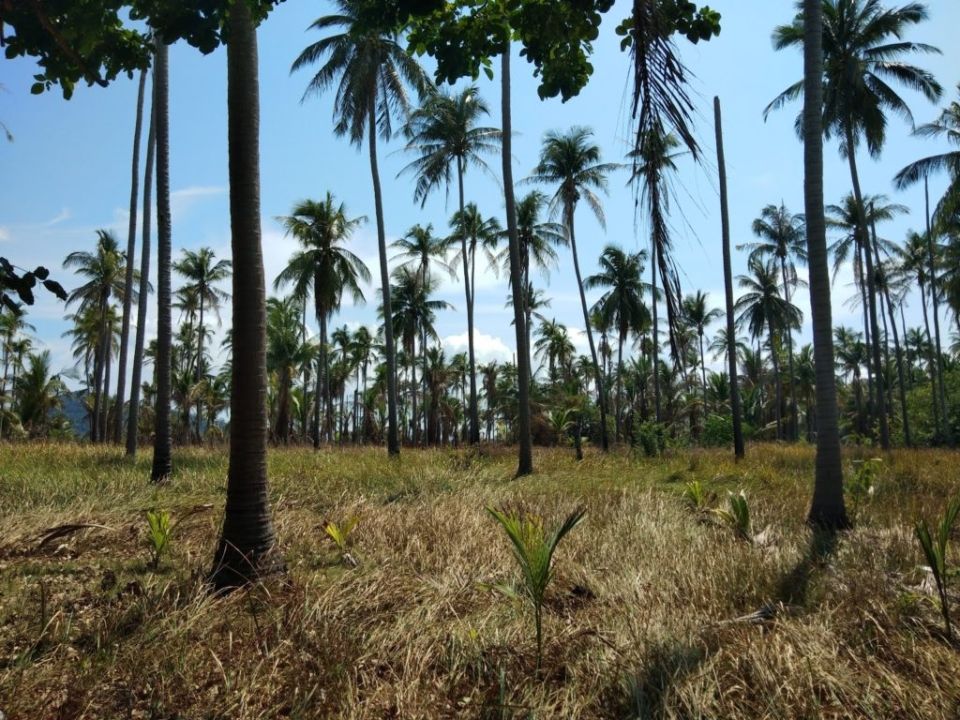 Rang Yai Island