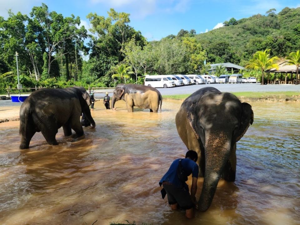 Green Elephant Sanctuary Park
