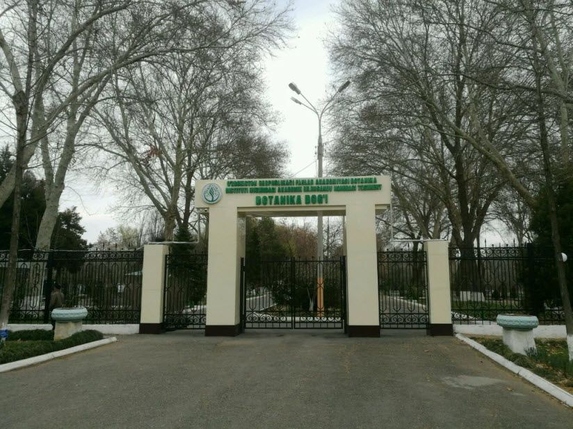 Ботанический сад им. академика Русанова