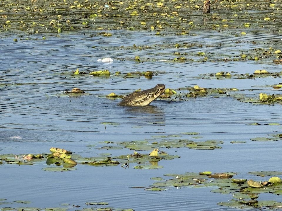 Crocodile Park Nilaveli