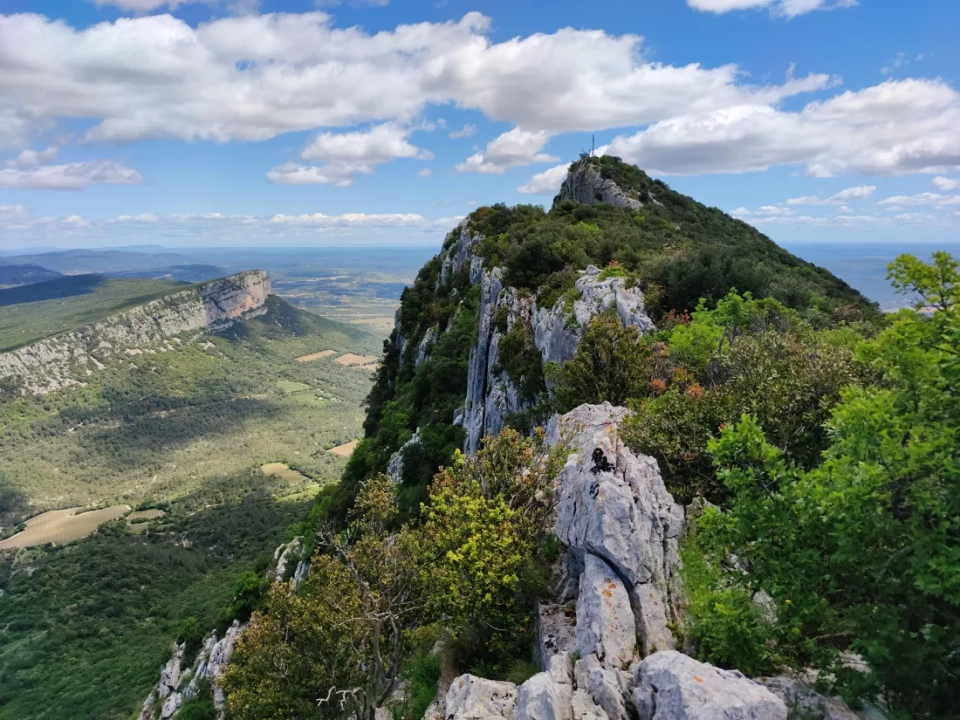 Пик Сен-Лу (Pic Saint-Loup), Монпелье