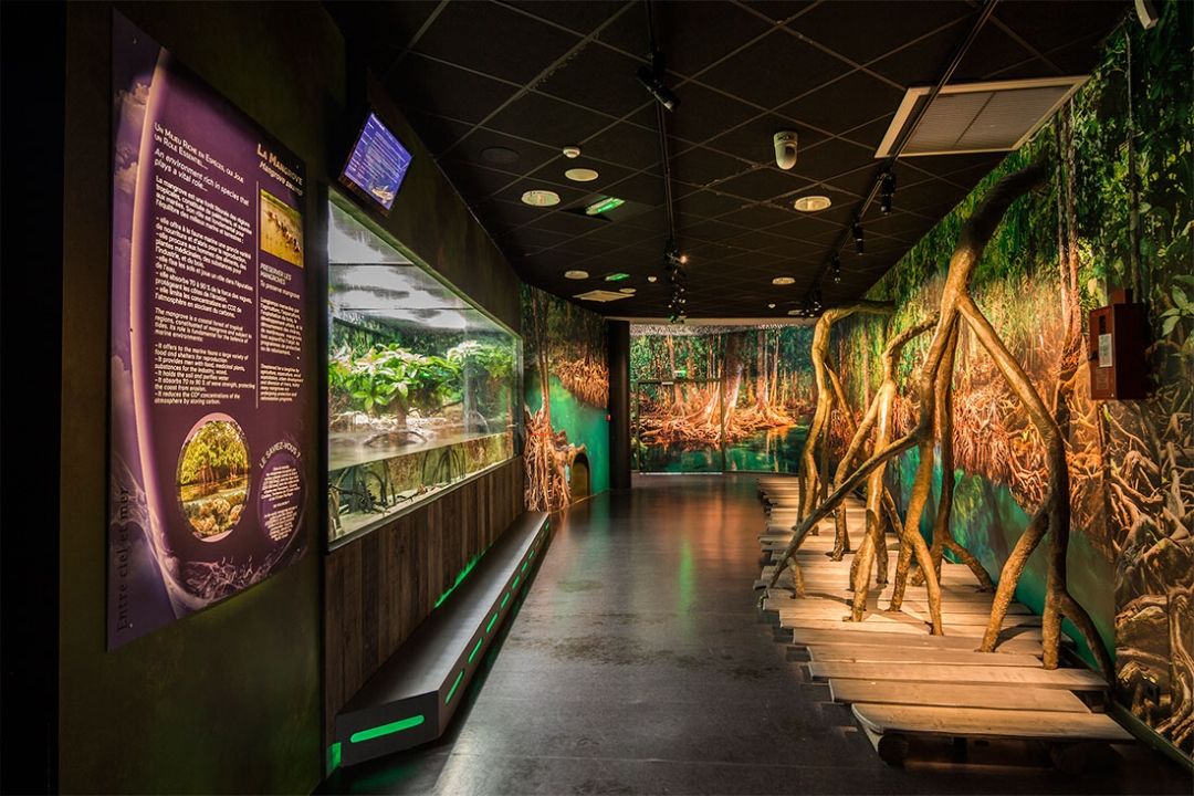Планета Океан (Planet Ocean World), Монпелье
