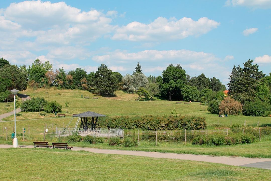 Крави Гора, Брно